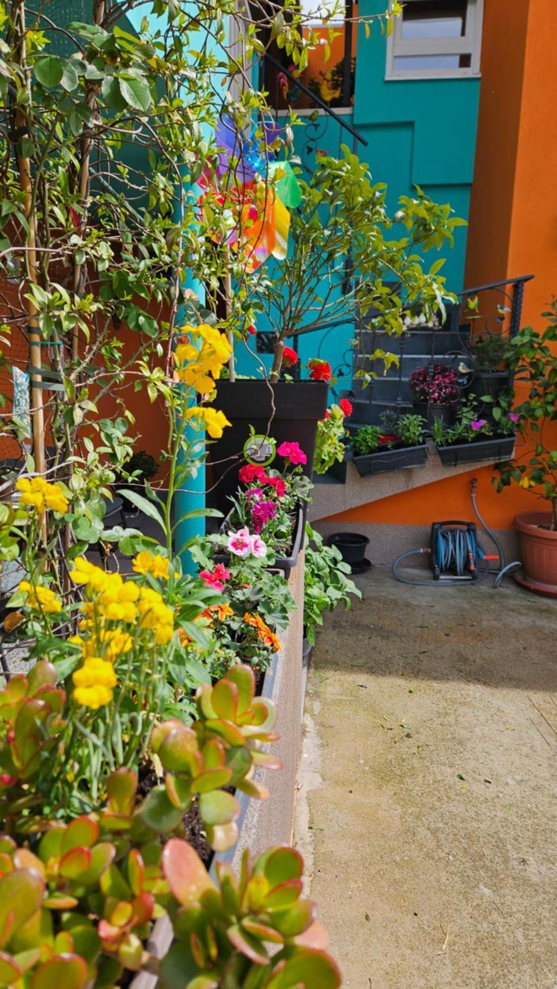 Mexicana Apartment Pink زادار المظهر الخارجي الصورة