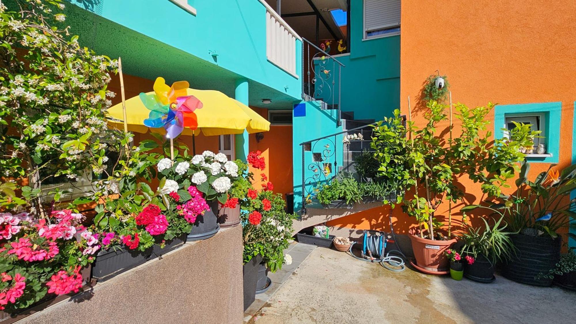 Mexicana Apartment Pink زادار المظهر الخارجي الصورة